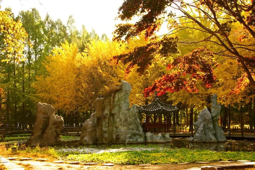 Seoul: Nami Island and Garden of Morning Calm opt Railbike - Should You Book This Nami Island + Morning Calm + Railbike Tour?