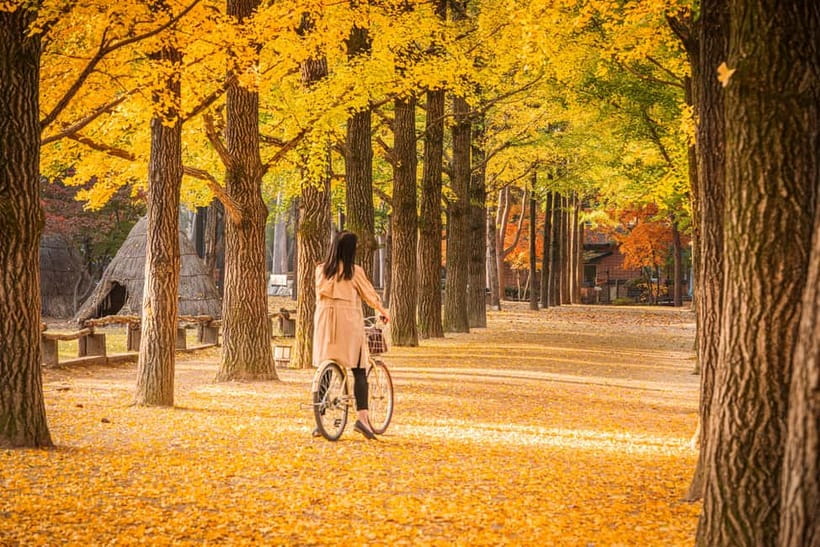 Seoul: Nami Island and Garden of Morning Calm opt Railbike - Garden of Morning Calm: Korea’s Garden Design, With Actual Time to Wander