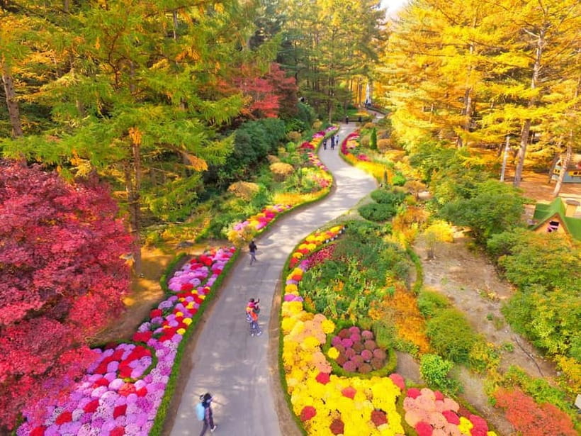 Seoul: Nami Island and Garden of Morning Calm opt Railbike - Nami Island: Movie-Famous Scenery With a Myth and a Republic