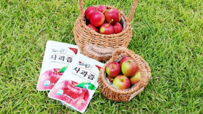 Seoul: Pocheon Art Valley, Garden and Fruit Picking Day Tour - Garden of Morning Calm: the walk is the point, and the timing matters