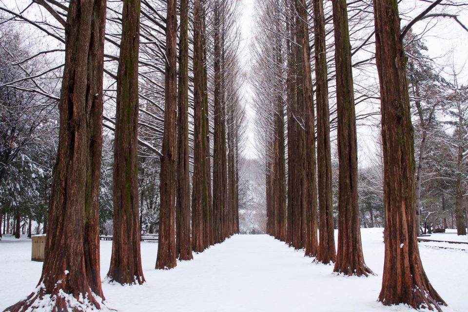 Seoul: Private Customizable Tour to Nami Island and More - Garden of Morning Calm: Structured Walks, Flora Displays, and a Korean-Style Photo Spot