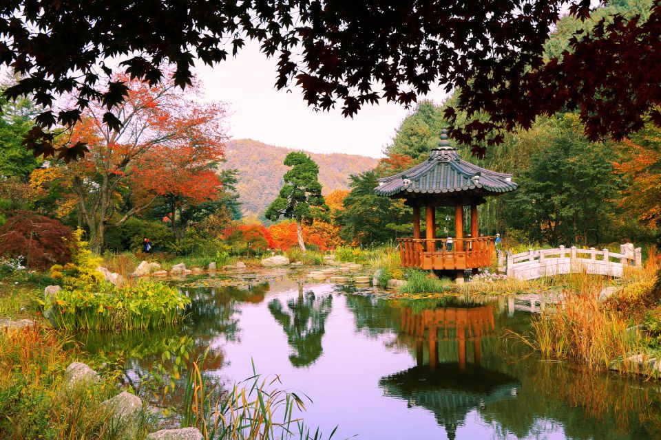 Seoul: Private Customizable Tour to Nami Island and More - The Private Vehicle + English-Speaking Driver Advantage (And What It Can Do for You)