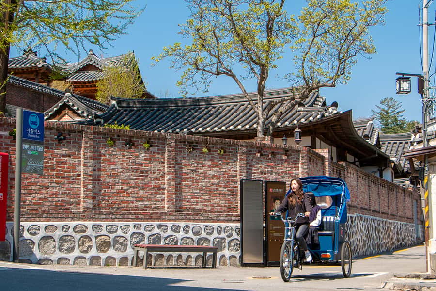 Seoul Private Pedicab Tour : Bukchon Anguk Hanok Village - Price and value: what $101 buys in real-world sightseeing