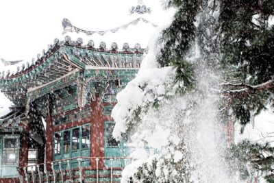 Seoul Private RV tour, explore real Korea from Past to Future - Gyeongbokgung Palace: Joseon foundations, fire, and what you can still read
