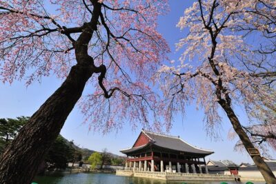 Seoul Private Tour Gyeongbok Palace Bukchon and Gwangjang Market - Gyeongbokgung Palace and the Royal Guard Changing Ceremony