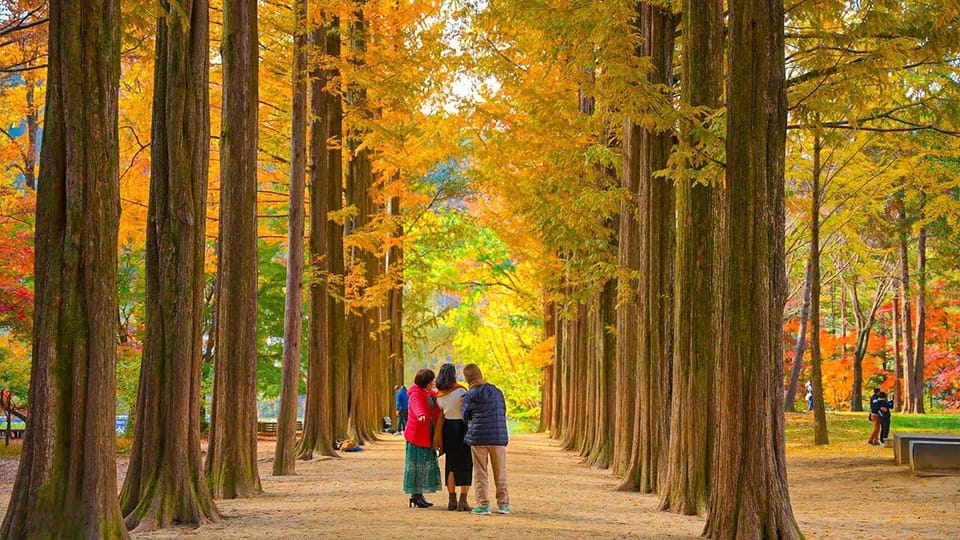 Seoul: Private Tour to Nami Island, Garden, Petite France - Who should book this private tour