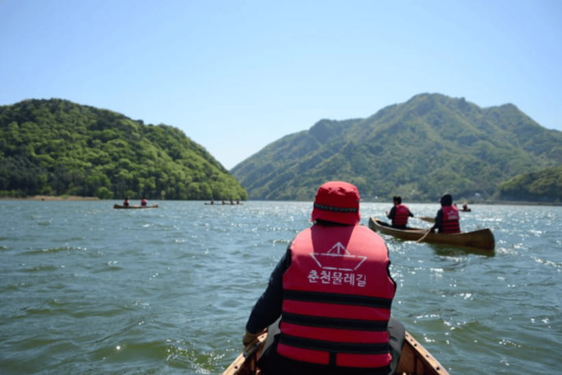 Seoul: Samaksan Cable Car & Nami with Alpaca World/Railbike - Nami Island: the K-drama look, but make it a calm walk