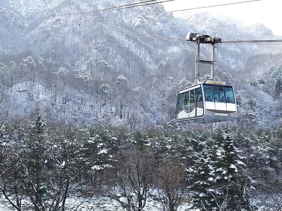 Seoul: Seorak Mountain+Nami Island+Eobi Ice Valley Tour - A One-Day Winter Hit: Seoraksan, Nami Island, and Eobi Ice Valley