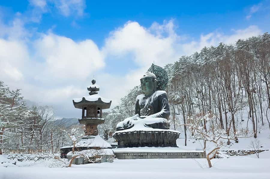Seoul: Seorak Mountain+Nami Island+Eobi Ice Valley Tour - Nami Island in snow: ferry crossing, K-drama vibes, and photo-friendly walks