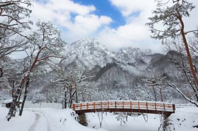 Seoul: Seorak Mountain+Nami Island+Eobi Ice Valley Tour - Seoraksan winter scenery and the Tongil Daebul plus Sinheungsa stop