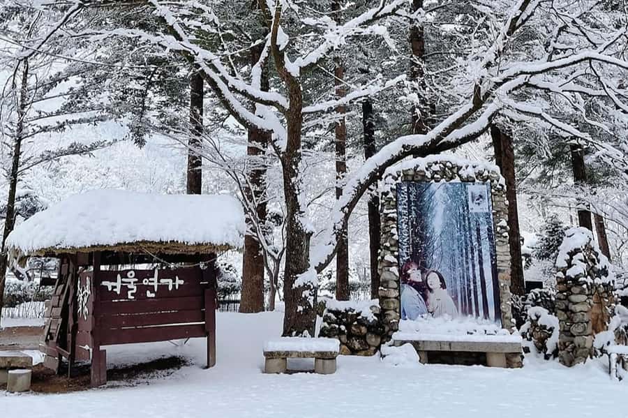 Seoul: Seorak Mountain+Nami Island+Eobi Ice Valley Tour - Eobi Ice Valley frozen waterfall views, plus the Garden of Morning Calm backup