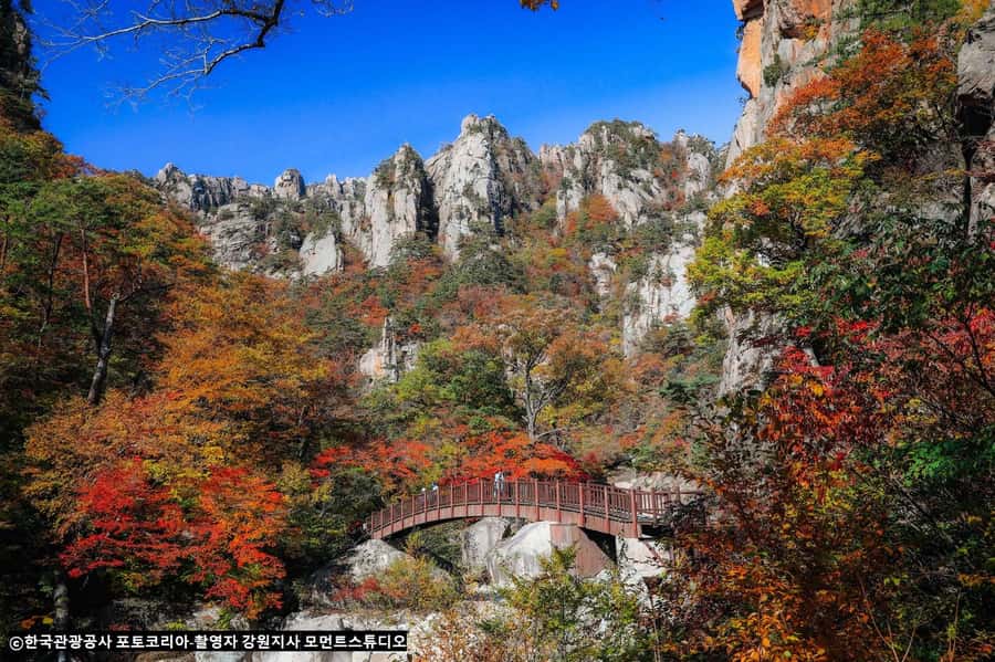 Seoul: Seorak Mountain+Nami Island+Eobi Ice Valley Tour - Transfers, timing, and why the day doesn’t feel totally rushed