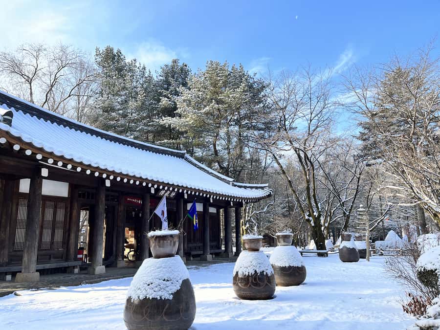Seoul: Seorak Mountain+Nami Island+Eobi Ice Valley Tour - Who this Seoul to Gangwon winter day trip suits best