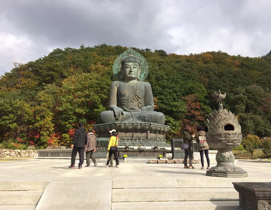 Seoul: Seorak Mountain+Nami Island+Eobi Ice Valley Tour - Should you book it?
