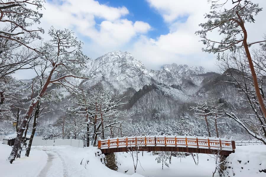 Seoul: Seorak Mountain+Nami Island+Eobi Ice Valley Tour - Seoraksan winter scenery and the Tongil Daebul plus Sinheungsa stop