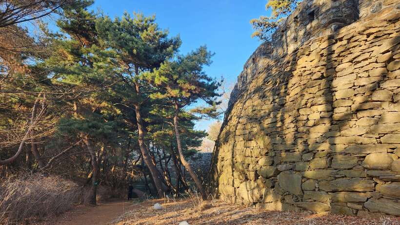 Seoul: Services of a Local for a Day (Paperwork/Tour/Fun) - Meeting Up in Seoul: How to Set Yourself Up for a Smooth Start