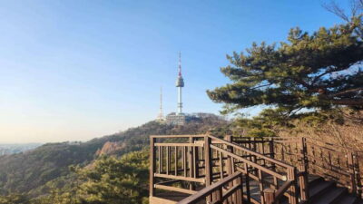 Seoul: Services of a Local for a Day (Paperwork/Tour/Fun) - Price and Value: Why $207 Can Make Sense