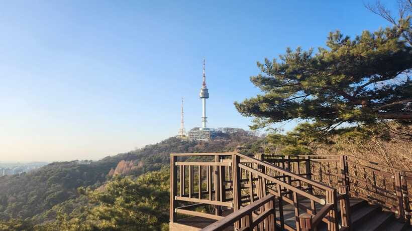 Seoul: Services of a Local for a Day (Paperwork/Tour/Fun) - Tours That Feel Personal, Not Tourist-Only