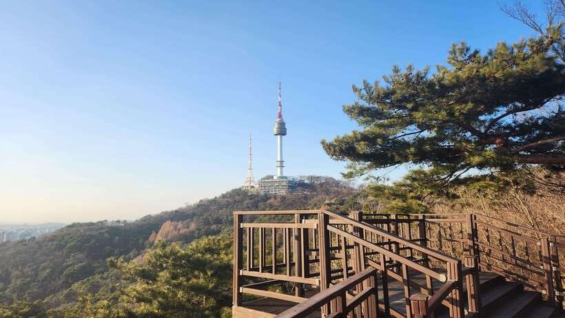 Seoul: Services of a Local for a Day (Paperwork/Tour/Fun) - Price and Value: Why $207 Can Make Sense