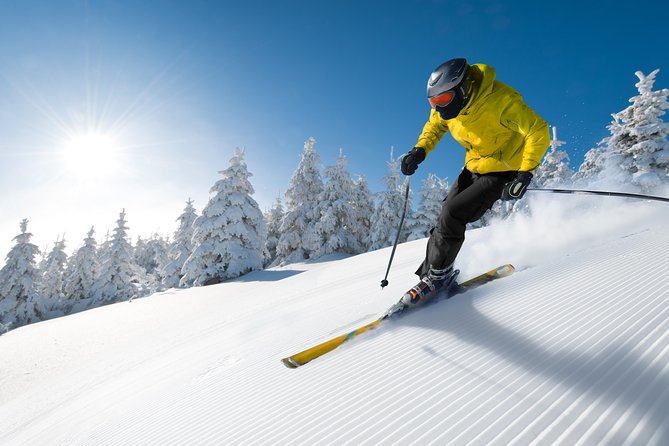 Seoul Ski Tour at Jisan Forest Resort - The Ginseng Center Stop: A Small Shopping Detour That Fits the Route