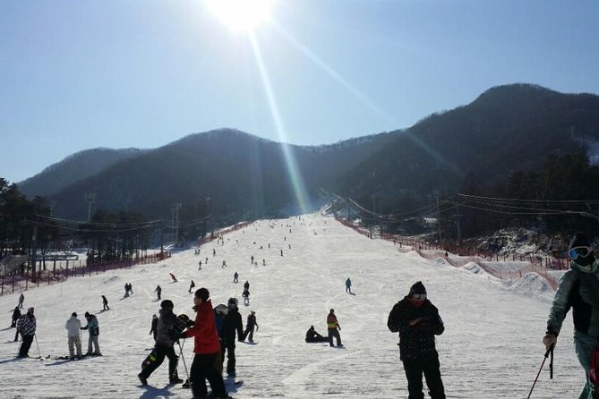 Seoul Ski Tour at Jisan Forest Resort - Price and Value: Why This Can Be a Smart Beginner Choice