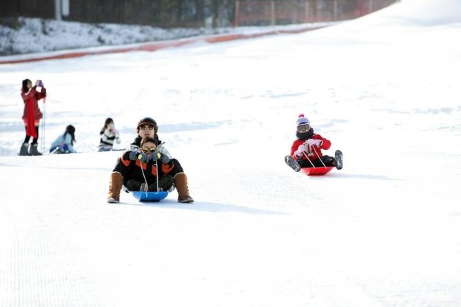 Seoul Ski Tour at Jisan Forest Resort - Beginner Lesson Options: 30 Minutes That Teach You to Control the Chaos