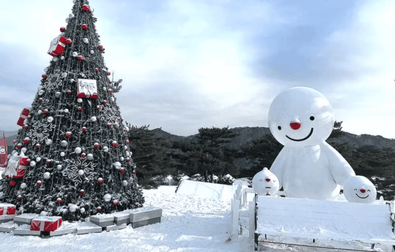 Seoul: SnowyLand in Vivaldi Park with Nami or Alpaca - Key highlights you’ll feel right away