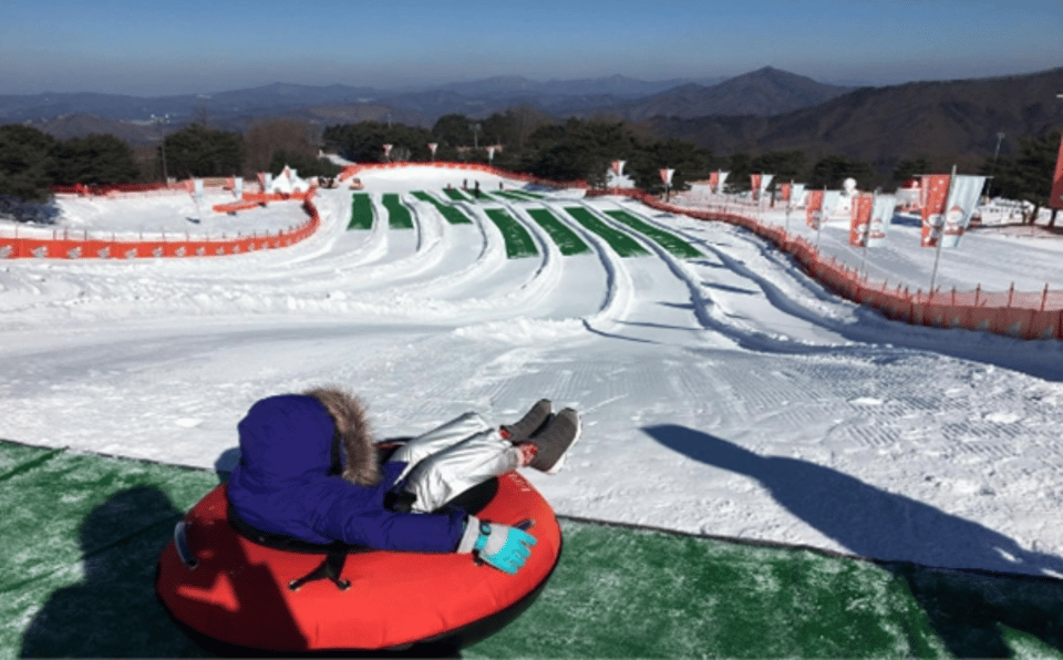 Seoul: SnowyLand in Vivaldi Park with Nami or Alpaca - The full itinerary, step by step (and how to get the most from each block)