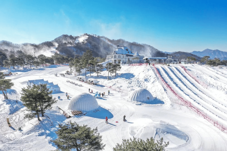 Seoul: SnowyLand in Vivaldi Park with Nami or Alpaca - Nami Island in winter: the riverside walk that softens the day