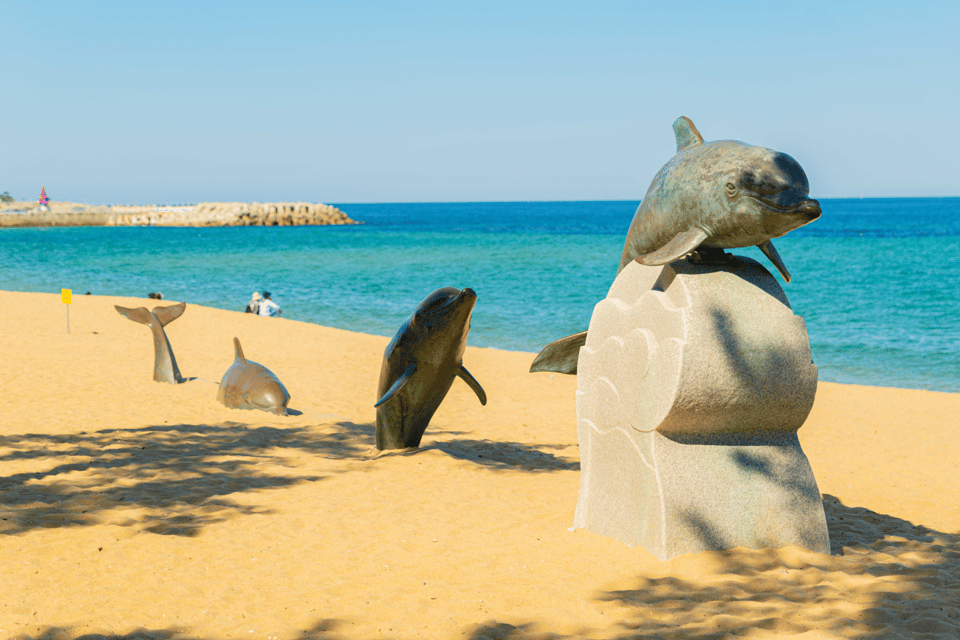 Seoul: Sokcho beach, market, hot spring and Seorak Cable Car - Timing, energy, and what to wear for a “sea-to-mountain” day