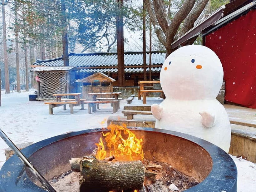 Seoul: Strawberry Picking & Eobi Ice Valley & Nami Island - Eobi Ice Valley: frozen waterfalls and icy cliffs (and how to manage expectations)