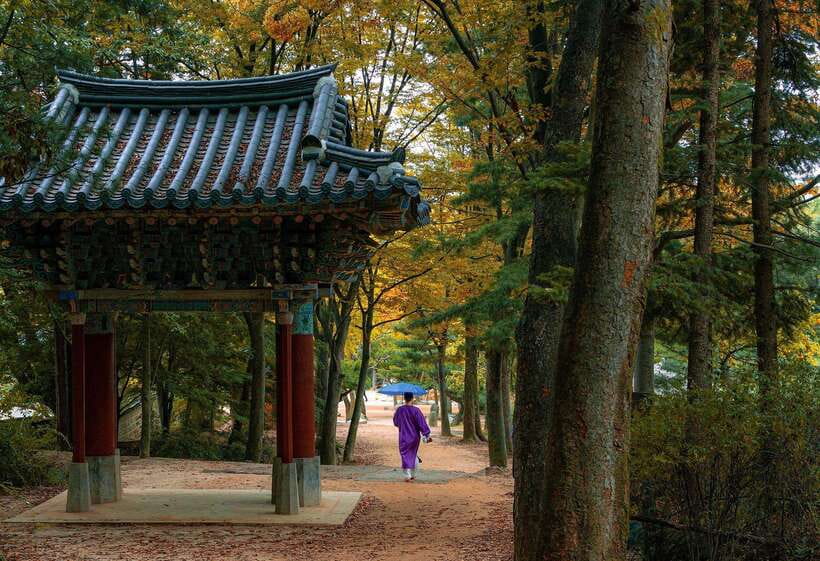 Seoul Sunrise & Sunset Hike + Temple & K-Food Adventure - The summit view: Seoul, Lotte Tower, and the Han River