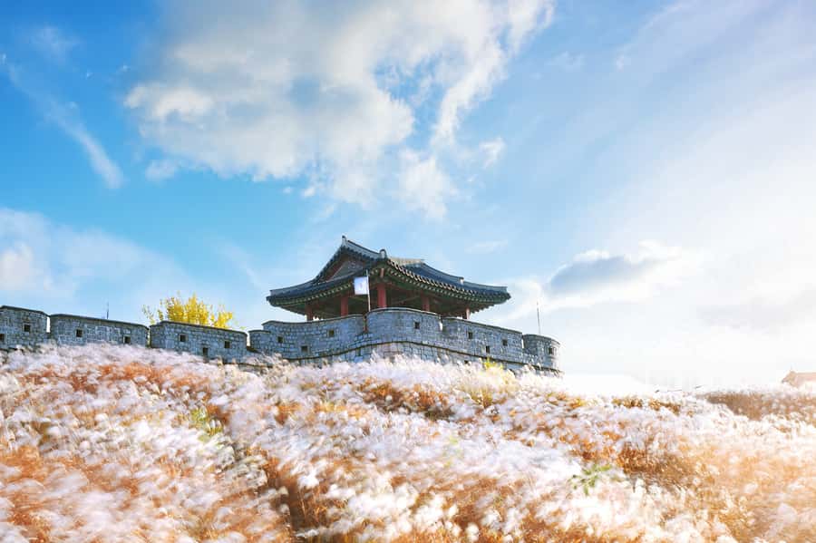 Seoul : Suwon Hwaseong Fortress+Starfield Library+Waujeongsa - Starfield Library: The Fast Photo Stop That Still Feels Worth It
