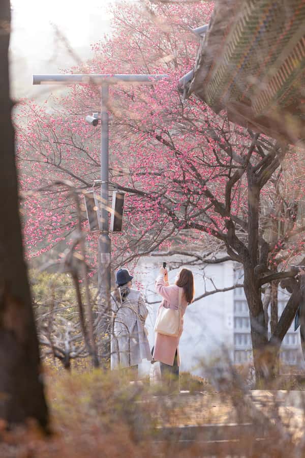 Seoul: Temple & Starfield COEX Mall Gourmet Tour in Gangnam - Timing and pace: the only real watch-out