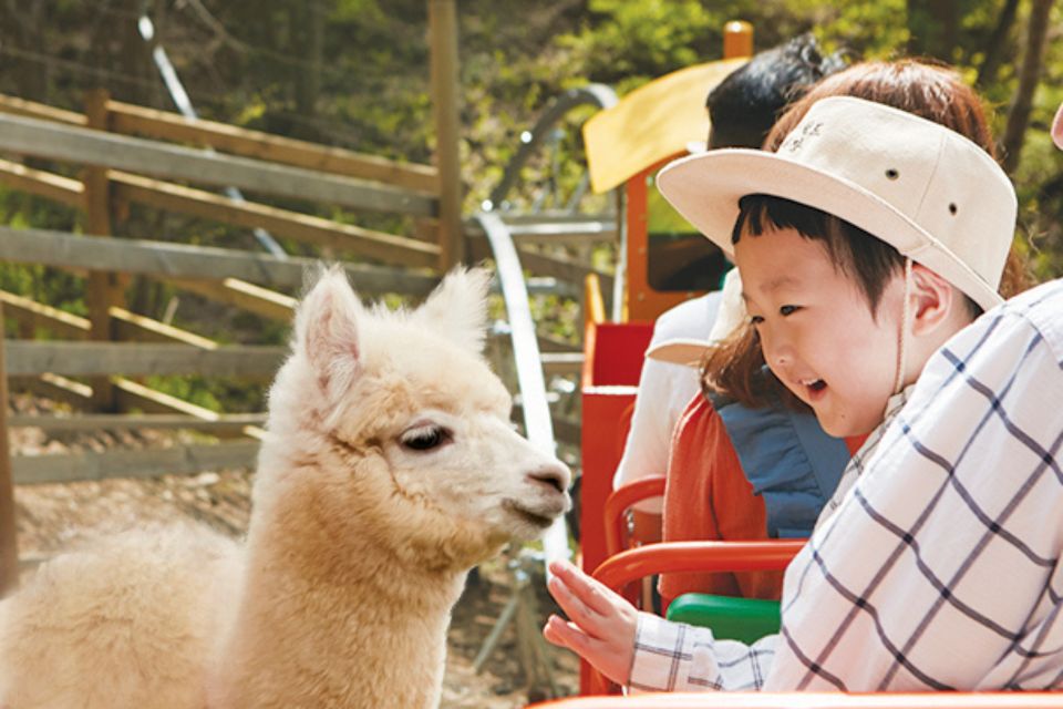 Seoul: The Painter Show with Nami Island - Practical tips that make the day smoother