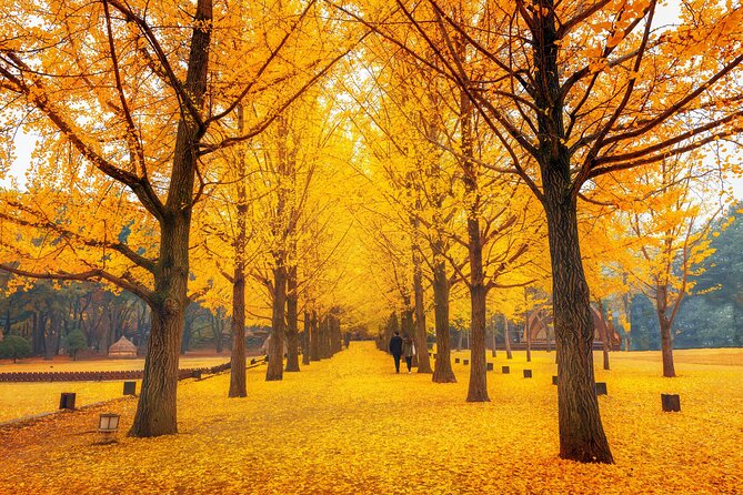 Seoul to/from Nami Island: Round trip Shuttle Bus Service - Price and Comfort: Is $23.81 Good Value?