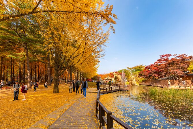 Seoul to/from Nami Island: Round trip Shuttle Bus Service - Real-World Service Quality: Drivers, Support, and Communication