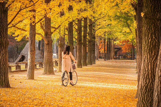 Seoul to/from Nami Island: Round trip Shuttle Bus Service - Who This Shuttle Works Best For (and Who Might Prefer Trains)
