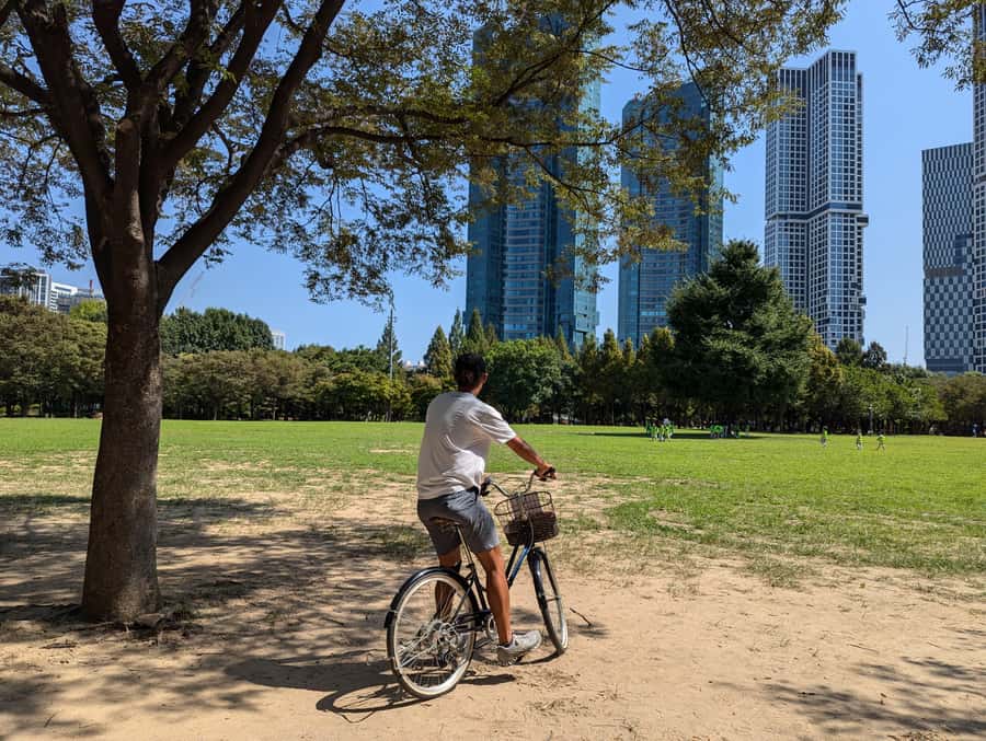 Seoul: Urban Nature Bike Tour along Han River - Price and value: why $50 feels fair here