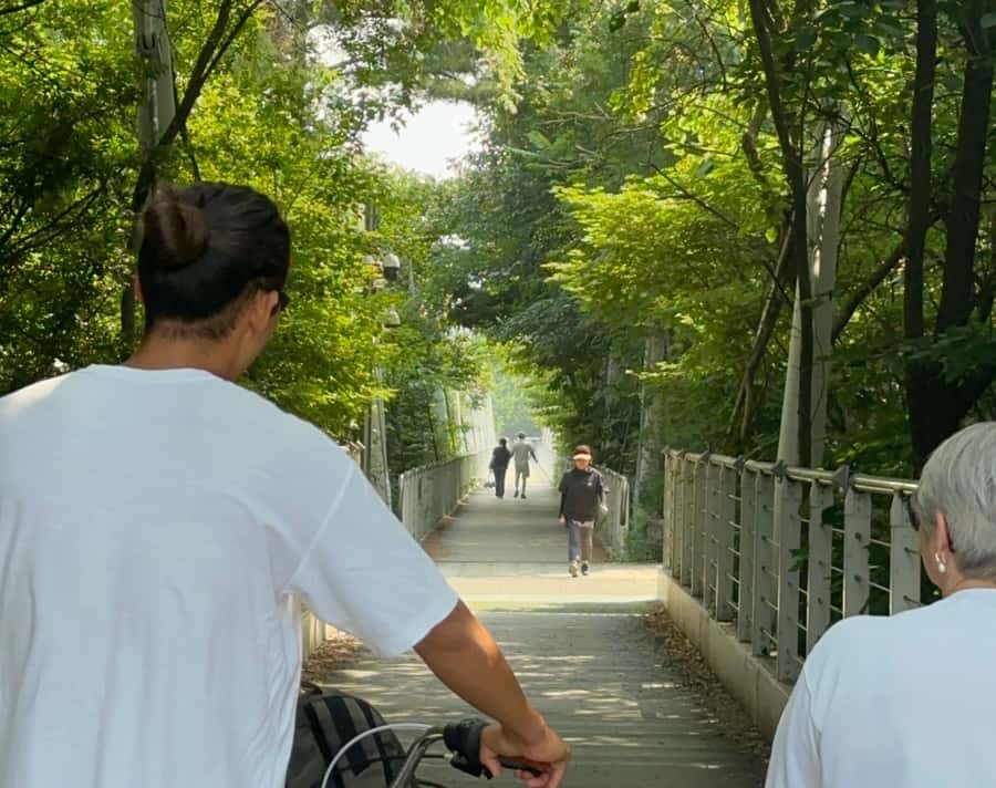 Seoul: Urban Nature Bike Tour along Han River - Cycling the Han River: why Seoul feels different from the saddle