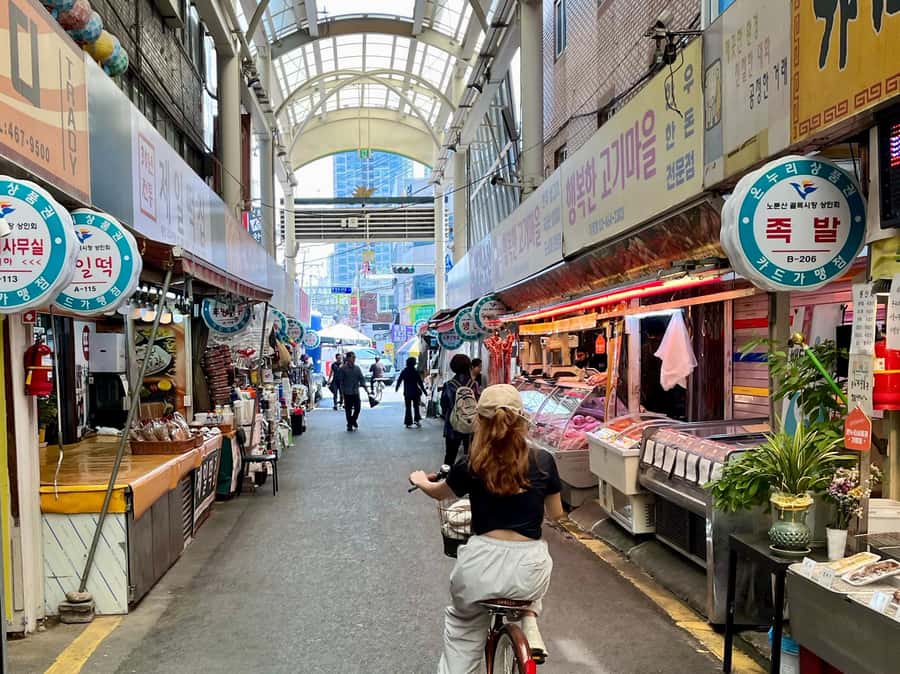 Seoul: Urban Nature Bike Tour along Han River - Bikes, gearing, and comfort for ages 12+