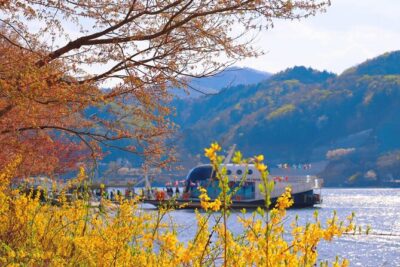 Seoul Vicinity 5 in 1: Nami Island, Garden of Morning Calm & More - Starting Points, Group Size, and How the Day Really Flows