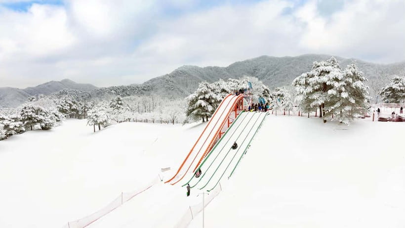 Seoul: Vivaldi Park Winter Ski with Eobi Ice Valley Day Tour - Key highlights worth your attention