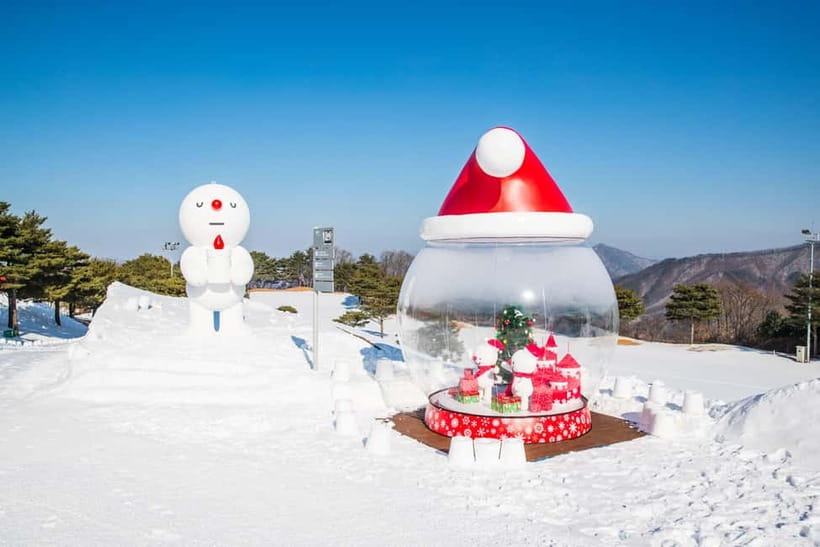 Seoul: Vivaldi Park Winter Ski with Eobi Ice Valley Day Tour - Who this tour suits best (and who might not love it)