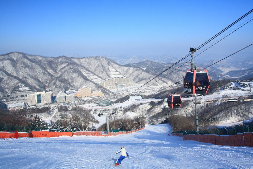 Seoul: Vivaldi Park Winter Ski with Nami Island Day Tour - Vivaldi Park Ski World: The Beginner Lesson You Actually Need
