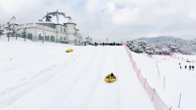 Seoul: Vivaldi Park Winter Ski with Nami Island Day Tour - Getting There: Central Seoul Pickups and a 13-Hour Winter Schedule