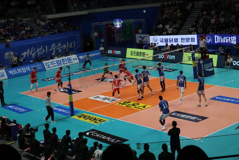 Seoul: Watching Sports Match & Local Food Experience - Tickets, Beer, and How the Group Avoids Stress