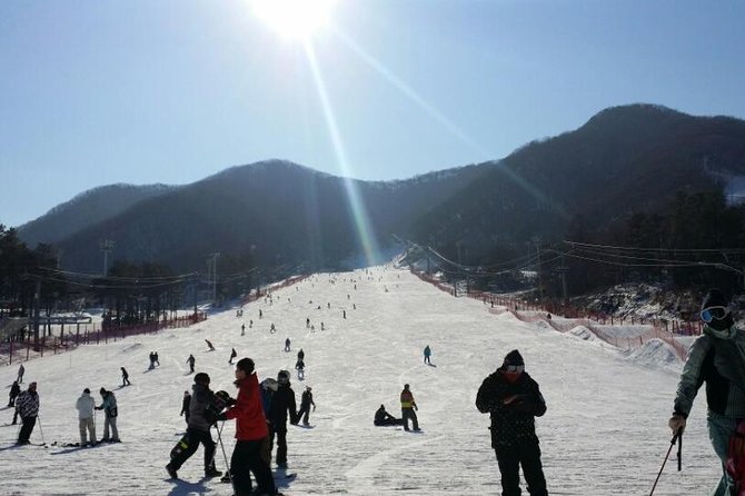 Ski Tour to Jisan Ski Resort from Seoul - Jisan Forest Resort vs Yanji Pine Resort: Your Day Depends on Snow