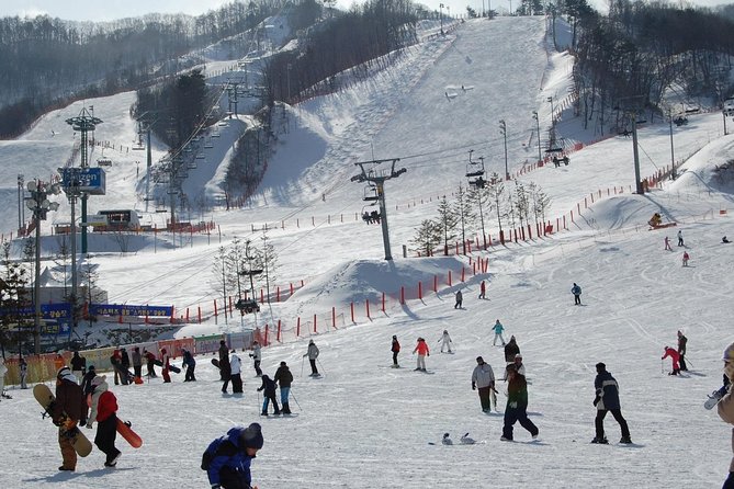 Ski Tour to Jisan Ski Resort from Seoul - What the Day Feels Like On-Snow: Timing, Free Time, and Getting Around