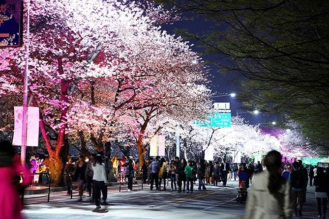 Small Group 7D Korea package Tour with Seoul Gyeongju Busan Jeju - Gyeongju Day 4: UNESCO-style Silla sites plus a night pond walk
